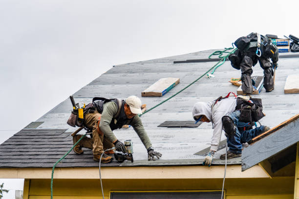 Professional Roof Repair technician working in Vanderbilt, TX